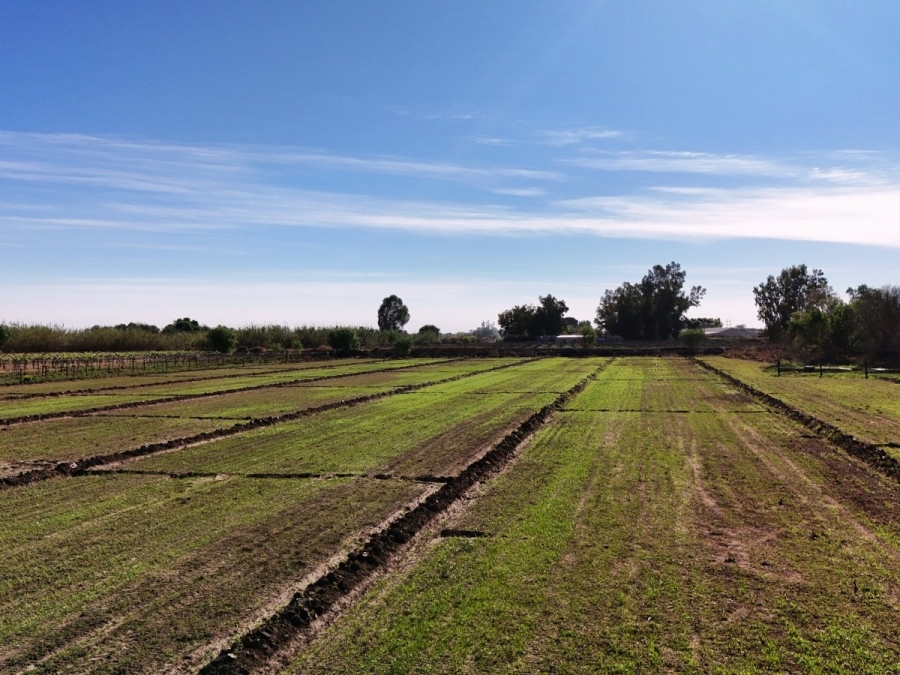 Commercial Property for Sale in Keimoes Rural Northern Cape